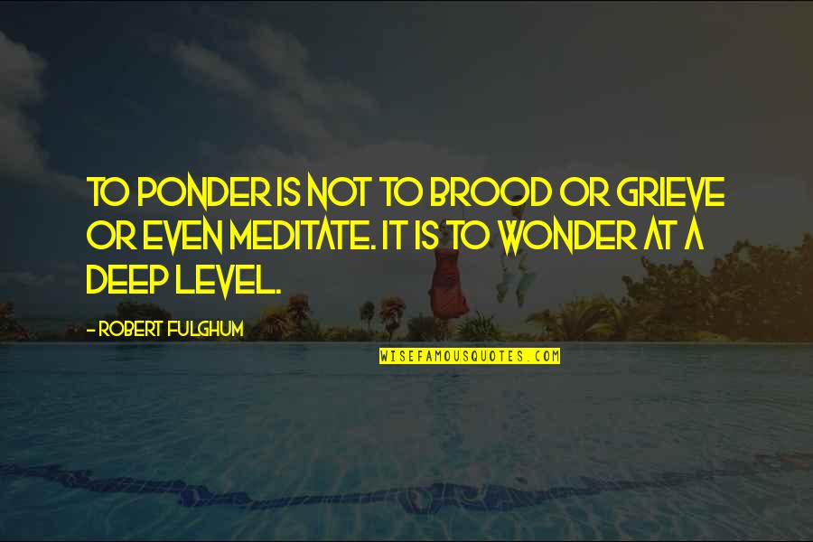 Ponder On Quotes By Robert Fulghum: To ponder is not to brood or grieve
