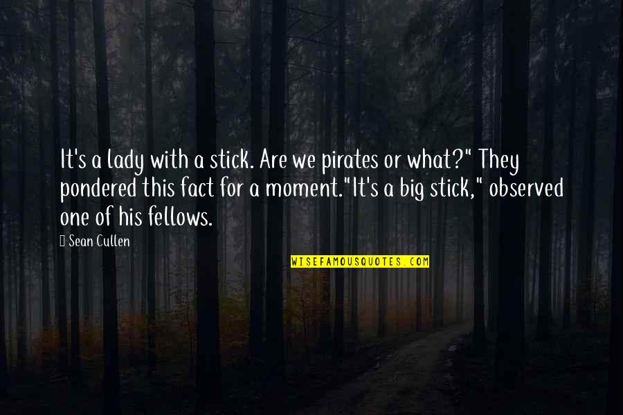 Pondered Quotes By Sean Cullen: It's a lady with a stick. Are we