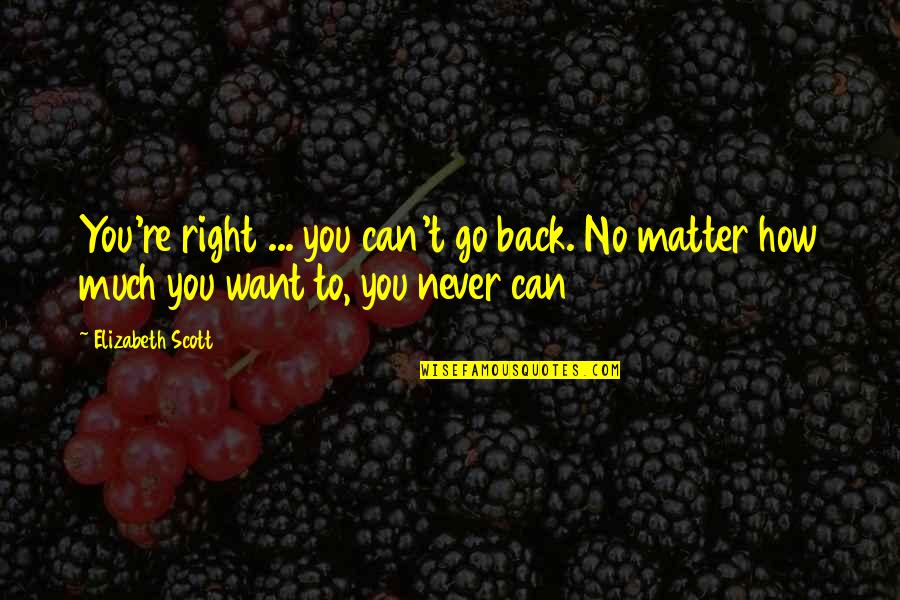 Ponderousness Quotes By Elizabeth Scott: You're right ... you can't go back. No