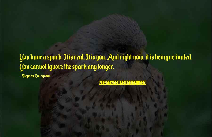 Pontello Casting Quotes By Stephen Lovegrove: You have a spark. It is real. It Pontello Casting Quotes By Stephen Lovegrove: You have a spark. It is real. It
