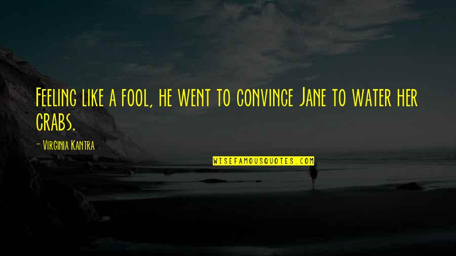 Pontificate Quotes By Virginia Kantra: Feeling like a fool, he went to convince