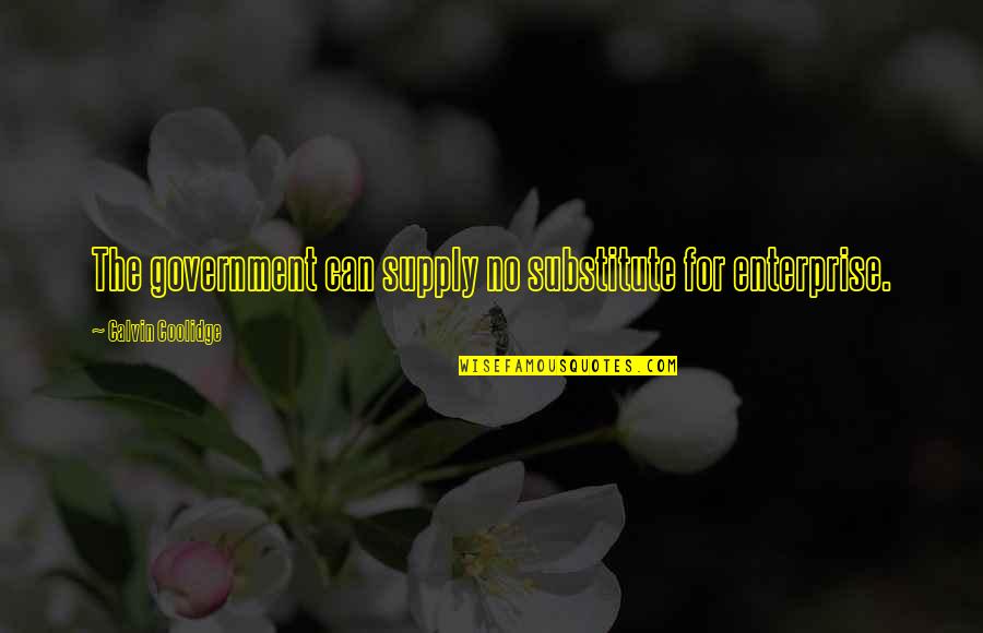 Pontritters Quotes By Calvin Coolidge: The government can supply no substitute for enterprise.