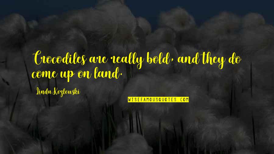 Pontus Almqvist Quotes By Linda Kozlowski: Crocodiles are really bold, and they do come Pontus Almqvist Quotes By Linda Kozlowski: Crocodiles are really bold, and they do come