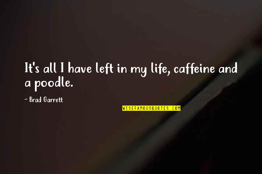 Poodle Quotes By Brad Garrett: It's all I have left in my life, Poodle Quotes By Brad Garrett: It's all I have left in my life,