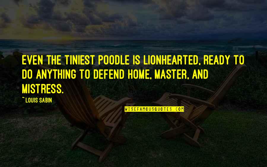 Poodles Quotes By Louis Sabin: Even the tiniest poodle is lionhearted, ready to