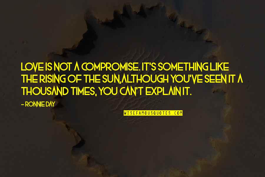 Pooh Bear Funny Quotes By Ronnie Day: Love is not a compromise. It's something like