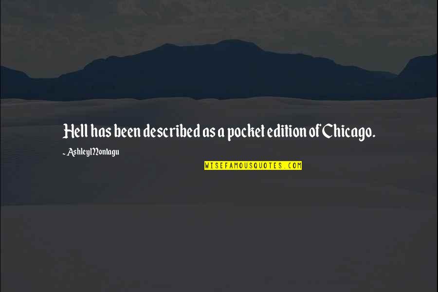 Pooka Fish Quotes By Ashley Montagu: Hell has been described as a pocket edition Pooka Fish Quotes By Ashley Montagu: Hell has been described as a pocket edition
