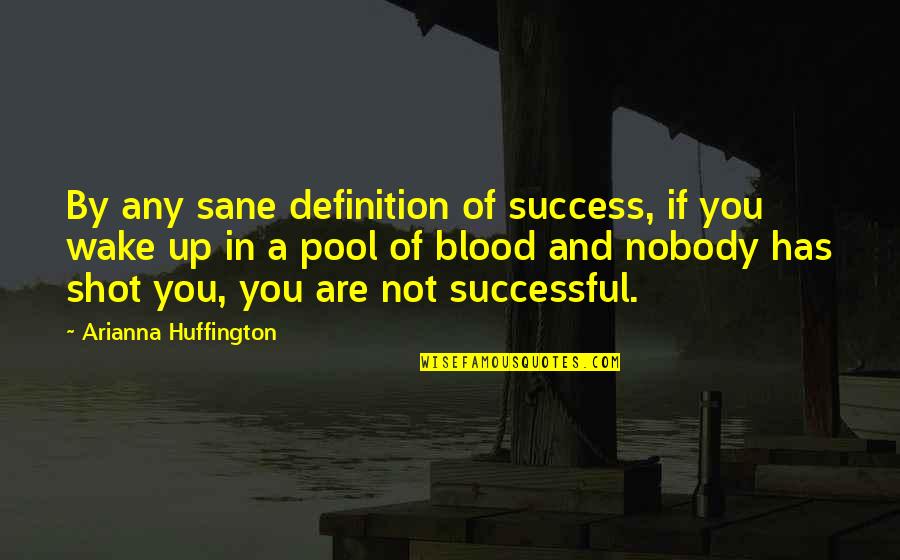Pool Quotes By Arianna Huffington: By any sane definition of success, if you