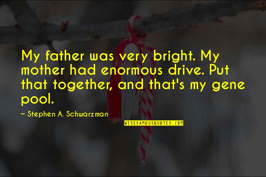 Pool Quotes By Stephen A. Schwarzman: My father was very bright. My mother had
