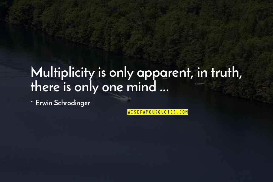 Poor Behavior Quotes By Erwin Schrodinger: Multiplicity is only apparent, in truth, there is