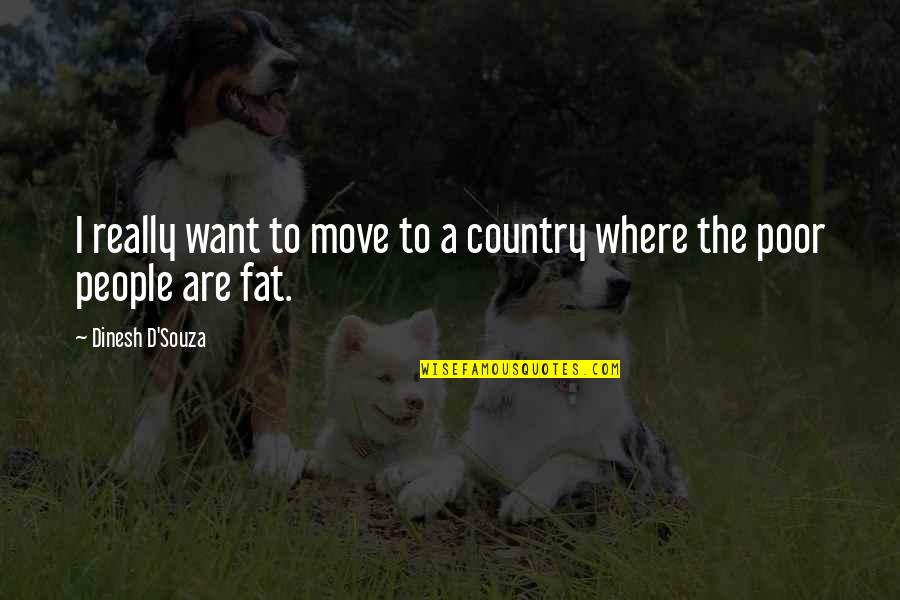 Poor Country Quotes By Dinesh D'Souza: I really want to move to a country Poor Country Quotes By Dinesh D'Souza: I really want to move to a country