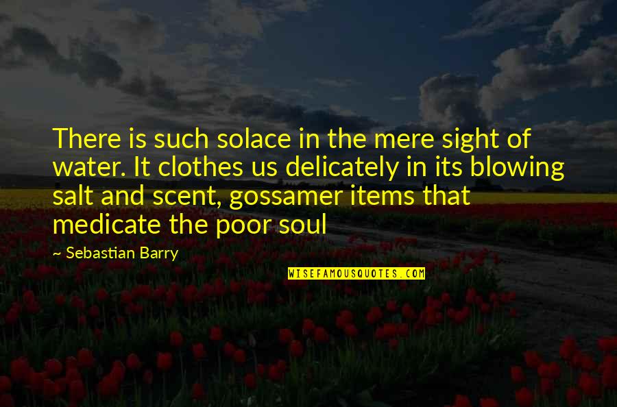 Poor Soul Quotes By Sebastian Barry: There is such solace in the mere sight Poor Soul Quotes By Sebastian Barry: There is such solace in the mere sight