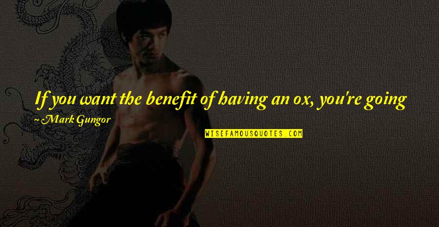 Poo's Quotes By Mark Gungor: If you want the benefit of having an