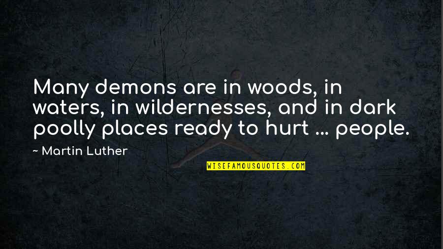 Pooting Means Quotes By Martin Luther: Many demons are in woods, in waters, in