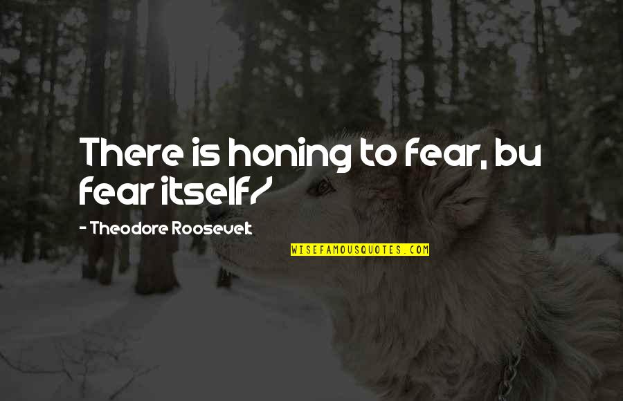 Pop Jelly Quotes By Theodore Roosevelt: There is honing to fear, bu fear itself/