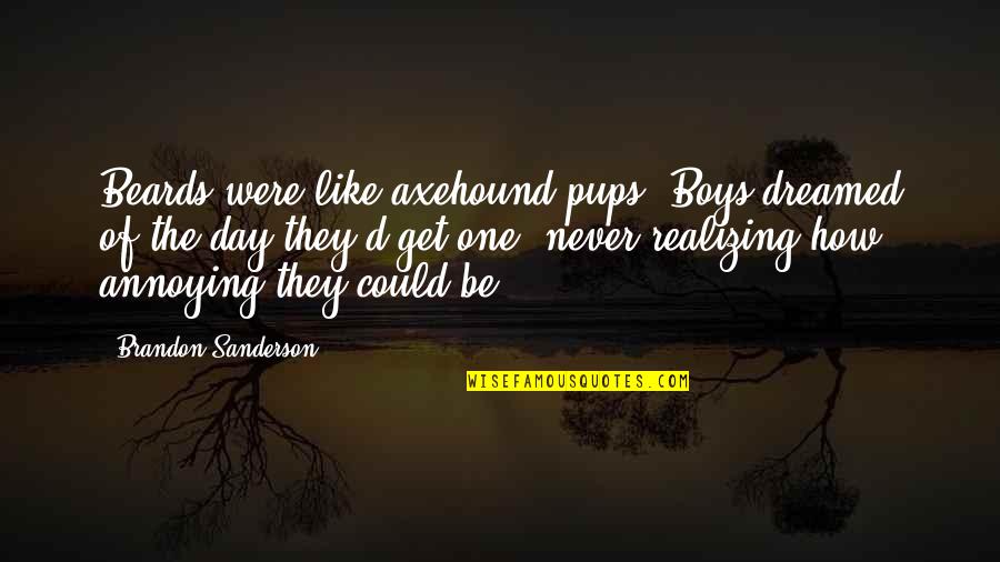 Pop Music Artist Quotes By Brandon Sanderson: Beards were like axehound pups. Boys dreamed of