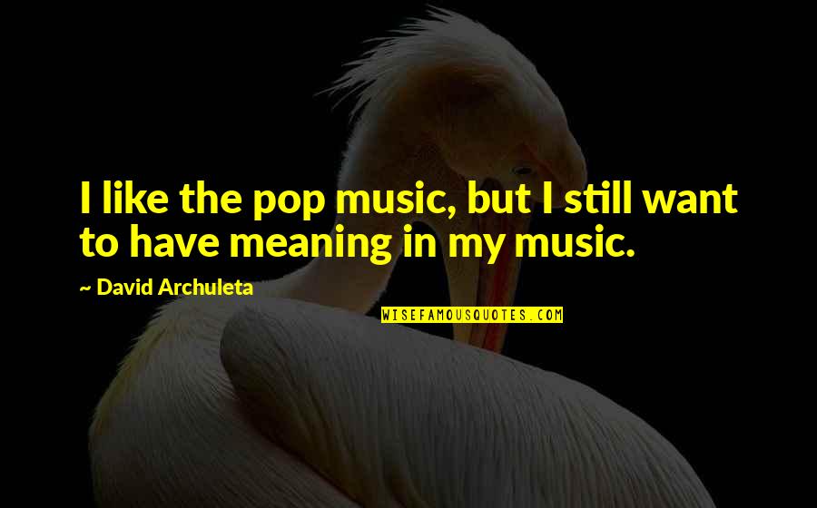 Pop Music Quotes By David Archuleta: I like the pop music, but I still