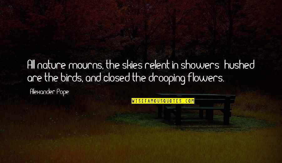 Pope Alexander Quotes By Alexander Pope: All nature mourns, the skies relent in showers;