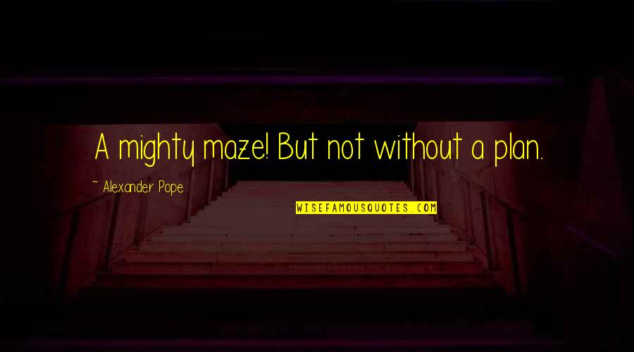 Pope Alexander Quotes By Alexander Pope: A mighty maze! But not without a plan.