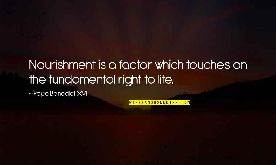 Pope Benedict Quotes By Pope Benedict XVI: Nourishment is a factor which touches on the Pope Benedict Quotes By Pope Benedict XVI: Nourishment is a factor which touches on the