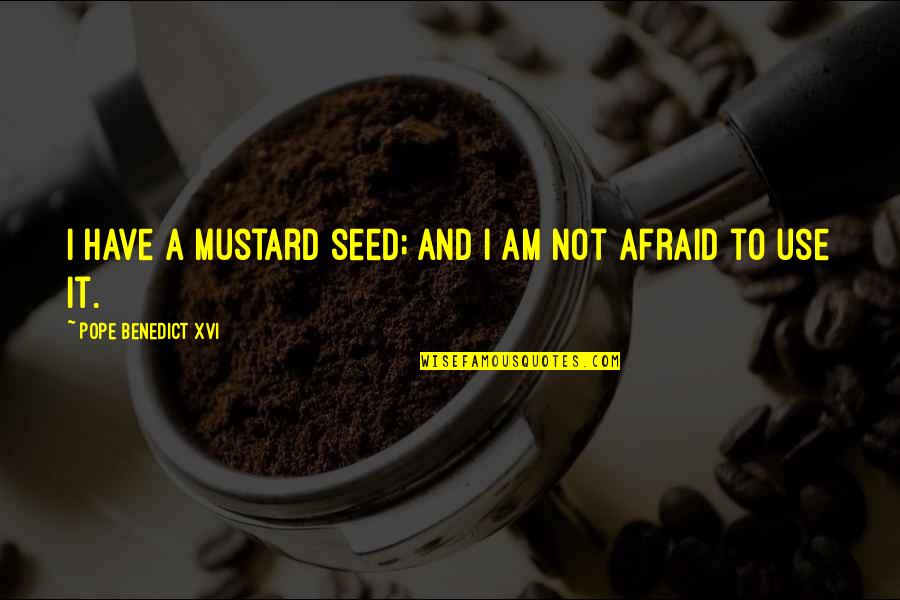 Pope Benedict Quotes By Pope Benedict XVI: I have a mustard seed; and I am Pope Benedict Quotes By Pope Benedict XVI: I have a mustard seed; and I am