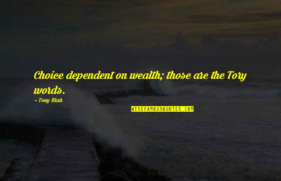 Pope Benedict Relativism Quote Quotes By Tony Blair: Choice dependent on wealth; those are the Tory