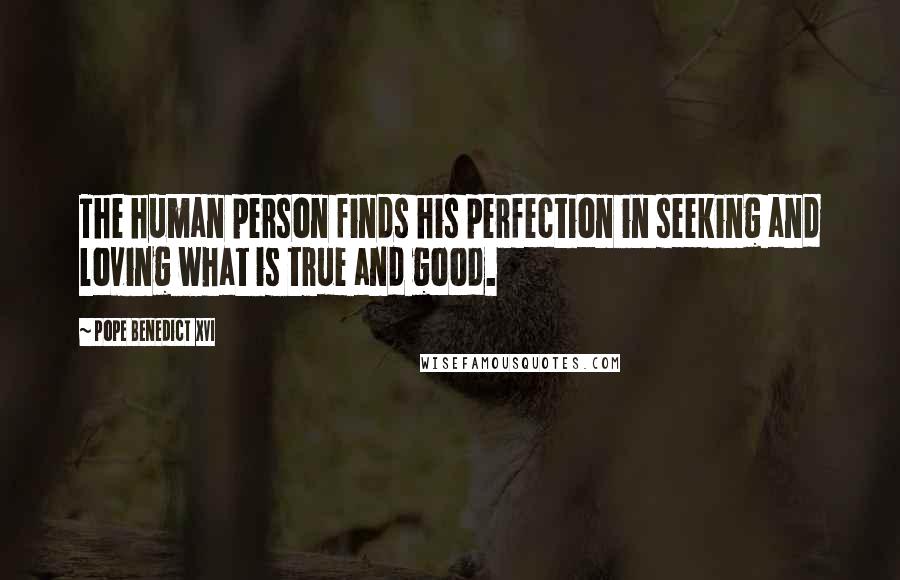 Pope Benedict XVI quotes: The human person finds his perfection in seeking and loving what is true and good.