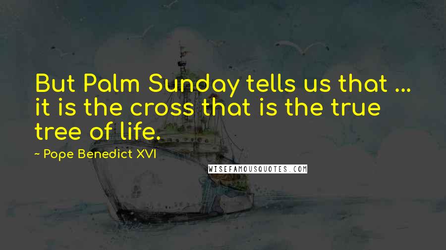 Pope Benedict XVI quotes: But Palm Sunday tells us that ... it is the cross that is the true tree of life.