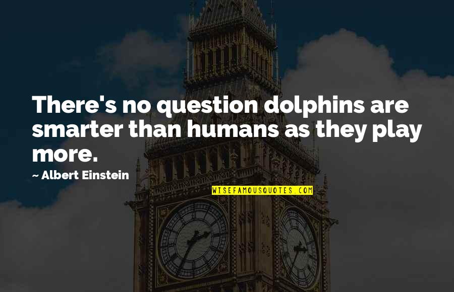 Pope Linus Quotes By Albert Einstein: There's no question dolphins are smarter than humans