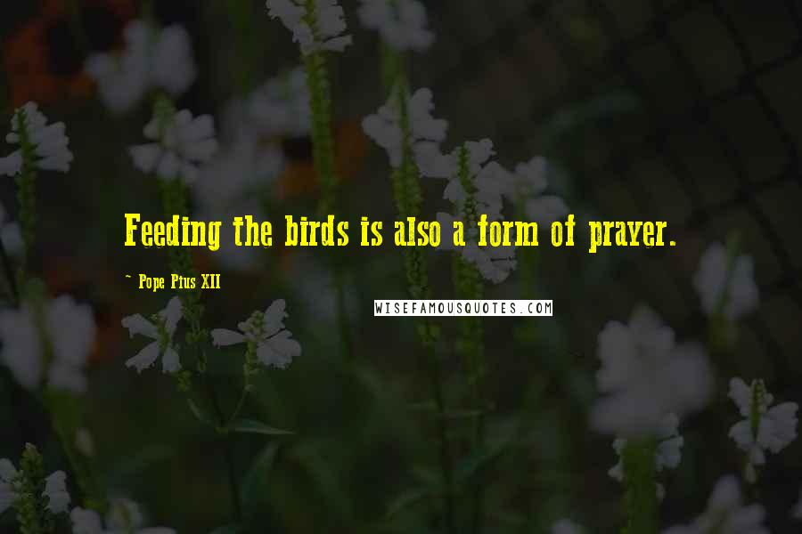 Pope Pius XII quotes: Feeding the birds is also a form of prayer.