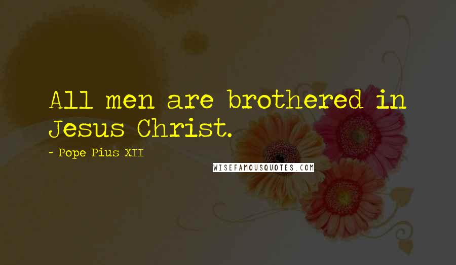 Pope Pius XII quotes: All men are brothered in Jesus Christ.