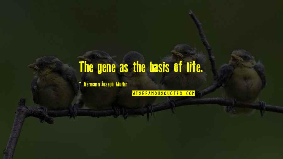 Popedoms Quotes By Hermann Joseph Muller: The gene as the basis of life. Popedoms Quotes By Hermann Joseph Muller: The gene as the basis of life.