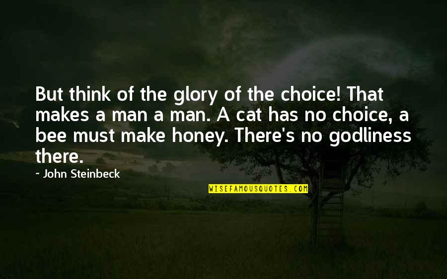 Popham Quotes By John Steinbeck: But think of the glory of the choice!