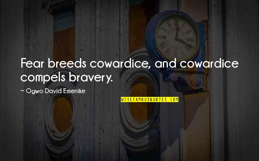Popowitz Plane Quotes By Ogwo David Emenike: Fear breeds cowardice, and cowardice compels bravery.