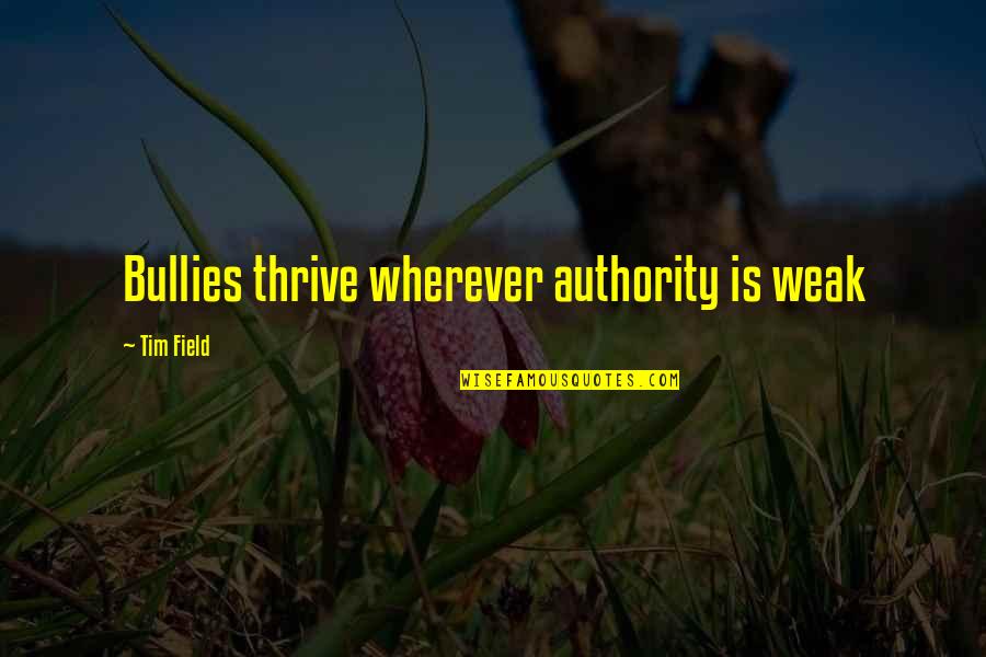 Poppenkraam Quotes By Tim Field: Bullies thrive wherever authority is weak