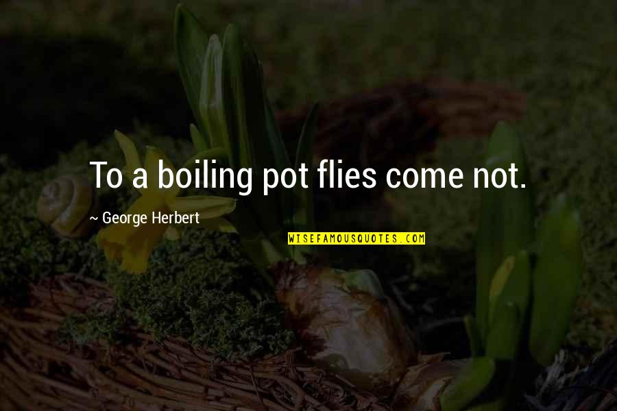 Poppleton And Friends Quotes By George Herbert: To a boiling pot flies come not.