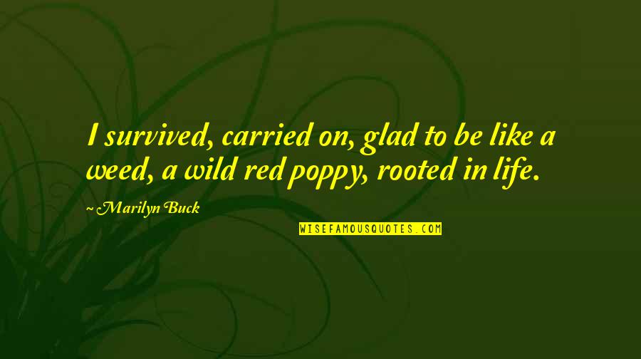 Poppy Quotes By Marilyn Buck: I survived, carried on, glad to be like