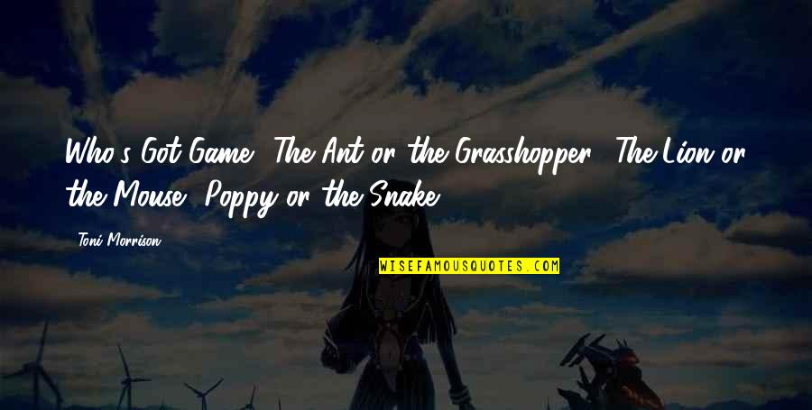 Poppy Quotes By Toni Morrison: Who's Got Game? The Ant or the Grasshopper? Poppy Quotes By Toni Morrison: Who's Got Game? The Ant or the Grasshopper?