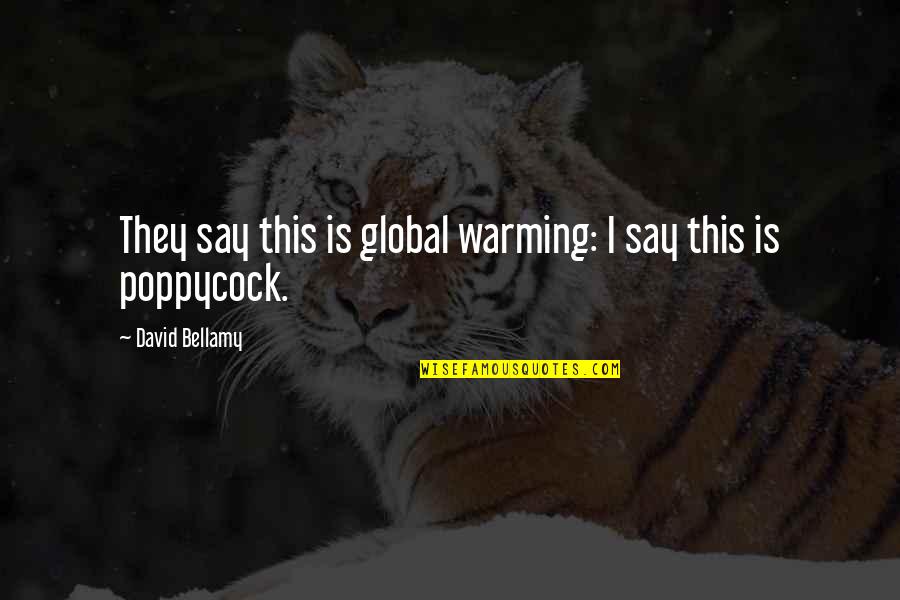 Poppycock Quotes By David Bellamy: They say this is global warming: I say