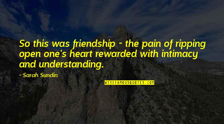 Popualtion Quotes By Sarah Sundin: So this was friendship - the pain of