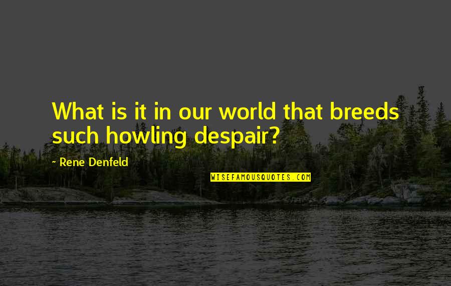 Populaire Engelse Quotes By Rene Denfeld: What is it in our world that breeds