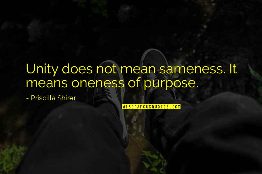 Popular Commercial Quotes By Priscilla Shirer: Unity does not mean sameness. It means oneness