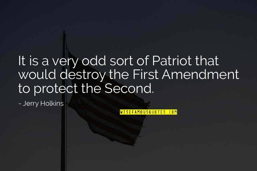 Popular Negative Quotes By Jerry Holkins: It is a very odd sort of Patriot