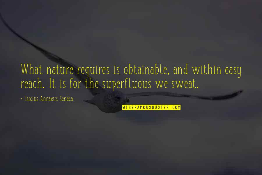 Popular Sovereignty In The Declaration Of Independence Quotes By Lucius Annaeus Seneca: What nature requires is obtainable, and within easy