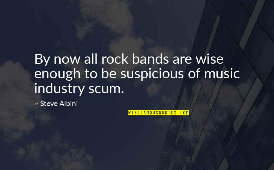 Popular Tim Mcgraw Quotes By Steve Albini: By now all rock bands are wise enough