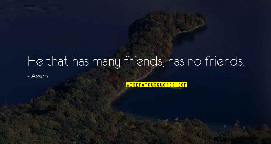 Popularity And Friends Quotes By Aesop: He that has many friends, has no friends.