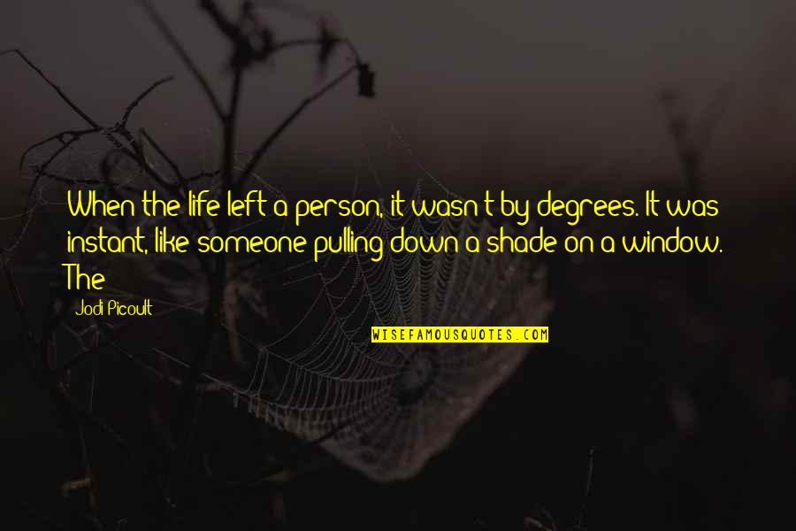 Popuri Quotes By Jodi Picoult: When the life left a person, it wasn't