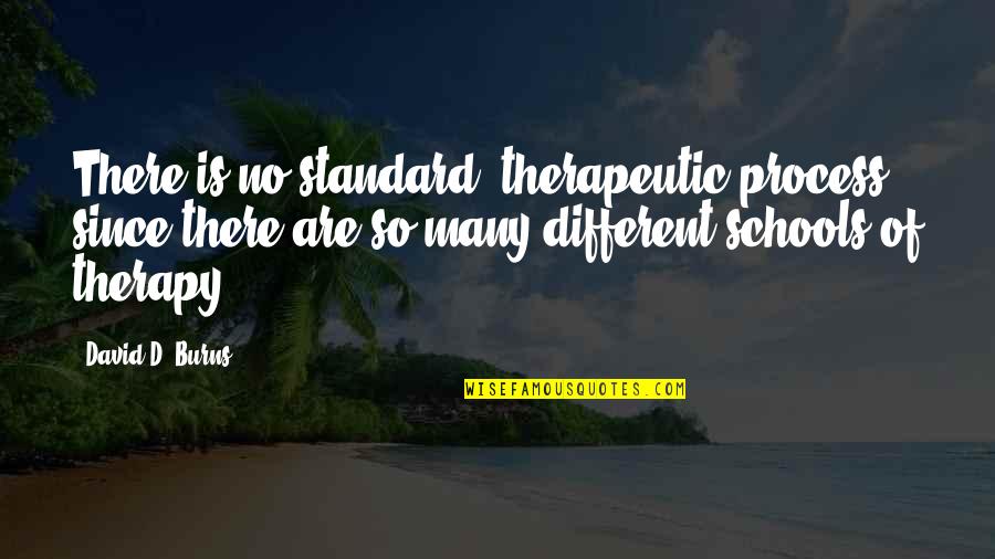 Por Ka Husitu Quotes By David D. Burns: There is no standard 'therapeutic process,' since there Por Ka Husitu Quotes By David D. Burns: There is no standard 'therapeutic process,' since there