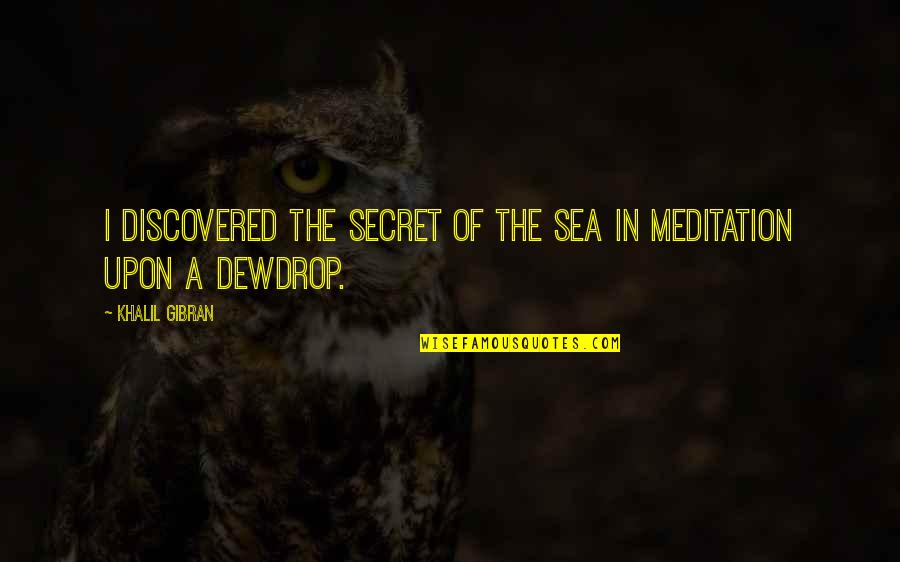 Por Pendejo Quotes By Khalil Gibran: I discovered the secret of the sea in