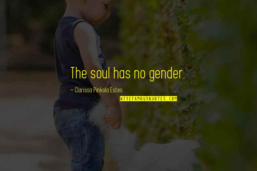 Porcentaje En Quotes By Clarissa Pinkola Estes: The soul has no gender. Porcentaje En Quotes By Clarissa Pinkola Estes: The soul has no gender.